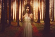 白狐之夢，神秘與幻想的交織，白狐之夢，神秘與幻想的交織