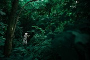 夢境中的驚悚之旅，一次與殺人犯的邂逅，犯罪邂逅，夢境中的驚悚之旅