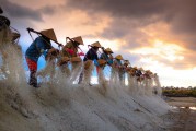 種地免費游戲，開啟你的農(nóng)業(yè)夢想之旅，種地大富翁，啟動你的農(nóng)田冒險之旅，免費享受農(nóng)業(yè)的樂趣