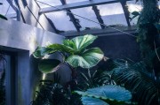 蘋果版的免費生存類游戲，探索、建造與生存，打造屬于你自己的蘋果版生存世界，一款豐富的探索與建造類游戲
