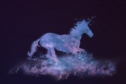 夢中的星光璀璨——與電影明星的奇妙邂逅，夢中的星光璀璨，與電影明星的奇妙邂逅