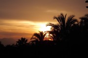 夢(mèng)到喜事，一場(chǎng)美好的心靈之旅，夢(mèng)境中的喜事，心靈之旅的美麗邂逅