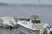海峽釣魚論壇注冊指南，輕松入門，暢享釣魚樂趣，海峽釣魚論壇注冊攻略，新手快速上手，體驗釣魚之樂