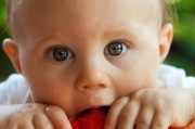 免費(fèi)三歲幼兒游戲，讓快樂(lè)成長(zhǎng)成為可能的途徑，幼兒游戲，打造孩子的幸福童年，從親子游戲開始