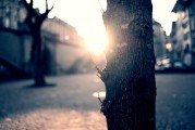 夢中的破碎之光——燈泡碎了的寓意與解讀，夢中的破碎之光，燈泡碎了的深層寓意與解讀