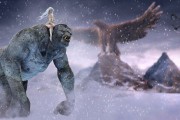 網(wǎng)站看視頻插件的神奇之旅，提升觀影體驗(yàn)的秘密武器