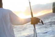 夢游深海，與巨魚共舞，夢游深海，共舞巨魚之旅