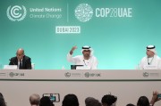 COP29氣候大會(huì)臨近，歐美金融高管參會(huì)熱情降溫