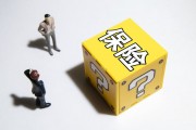 保險(xiǎn)的份額分配通常是怎樣的？