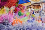 夢(mèng)中的甜蜜之旅——買糖的夢(mèng)境，夢(mèng)中的甜蜜之旅，買糖的夢(mèng)境
