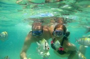 夢到逮魚的奇妙之旅，夢中的逮魚奇妙之旅