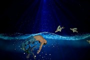 夢(mèng)中的魚(yú)咬之痛，解讀與思考，夢(mèng)中之魚(yú)咬痛，解讀與深度思考