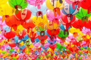 夢(mèng)境中的老鼠狂歡，夢(mèng)境中的老鼠狂歡之旅