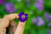 芭比打扮游戲免費(fèi)下載，讓小女孩過上精致的生活，芭比打扮游戲