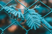 如何進行有效的網站SEO優(yōu)化？，構建有效網站SEO策略，深入了解關鍵詞、頁面結構與用戶體驗