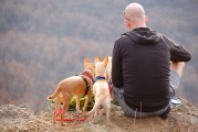 孕婦夢到野雞，是否為胎夢的探索之旅，孕婦夢到野雞，胎夢的探索之旅