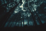 夢(mèng)與眼眸的神秘交織，夢(mèng)與眼眸的神秘交織