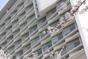 云天勵飛:北京市金杜（深圳）律師事務所關于深圳云天勵飛技術股份有限公司2024年年度股東大會之法律意見書