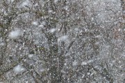 雪舞夢(mèng)境——我的夢(mèng)中雪景，雪舞夢(mèng)境，我的夢(mèng)中雪景的詩(shī)意之旅