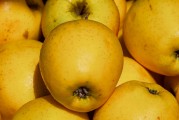 日本Rapidus公司正與蘋(píng)果、谷歌洽談芯片大規(guī)模生產(chǎn)事宜