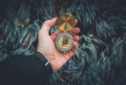 夢中的白發(fā)生長，一次關(guān)于時(shí)間、衰老與自我認(rèn)知的探索，夢中的白發(fā)生長，時(shí)間、衰老與自我認(rèn)知的探索