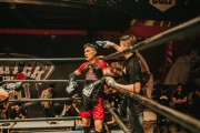 格斗游戲的狂熱與挑戰(zhàn)——探尋免費(fèi)版的力量，探索付費(fèi)格斗游戲，免費(fèi)版本的力量