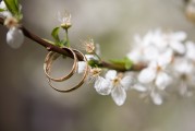夢(mèng)回娘家，情感的歸宿與心靈的慰藉，夢(mèng)回娘家，情感的歸宿與心靈的慰藉