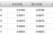 封閉期結(jié)束凈值接連重挫，建倉(cāng)節(jié)奏成謎，申萬(wàn)菱信行業(yè)精選混合基金陷“過(guò)山車(chē)式”開(kāi)局