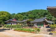 夢(mèng)中的攀爬之旅，夢(mèng)中的攀爬之旅之旅