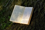 夢(mèng)到書，一場(chǎng)心靈與知識(shí)的奇妙旅程，夢(mèng)中的書，心靈與知識(shí)的奇妙旅程