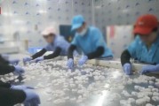 查封！關(guān)停！各地多部門連夜查處3·15曝光問題