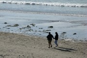 夢到棗，一場甜蜜的夢境之旅，夢到棗，一場甜蜜的夢境之旅