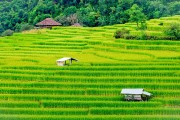一款讓玩家深度體驗(yàn)農(nóng)業(yè)種植樂趣的免費(fèi)農(nóng)場(chǎng)種菜游戲，耕作樂土，輕松有趣的農(nóng)業(yè)種植游戲