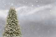 桌面圣誕樹插件網(wǎng)站，點(diǎn)亮冬日溫馨，增添節(jié)日氣氛