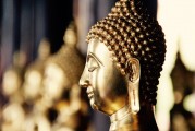 自由冷鋒游戲的神秘面紗——探秘其背后的游戲內涵與魅力，自由冷鋒，揭示隱藏在游戲背后的深度內涵與魅力