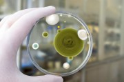 銀行卡的生物識別技術應用前景如何？