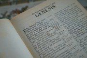 輕松入門，教你如何在論壇注冊(cè)賬號(hào)，論壇新手指南，輕松注冊(cè)賬號(hào)全攻略