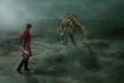 夢(mèng)中的勇氣，與老虎搏斗的奇幻之旅，夢(mèng)中的勇氣，與老虎搏斗的奇幻之旅