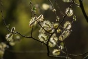 夢中重逢，與前任的交錯(cuò)時(shí)光，夢中重逢，與前任的交錯(cuò)時(shí)光之旅