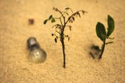 輕盈的夏日午后——輕松享受薄荷游戲免費，輕松享受，夏季薄荷游戲——只用一包薄荷