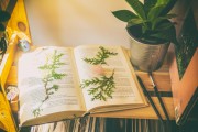 免費(fèi)游戲的春天，11個(gè)值得推薦的游戲，最新11款免費(fèi)游戲推薦，春天來(lái)臨的免費(fèi)游戲狂歡盛宴