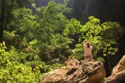 夢中的神秘之地——重復(fù)出現(xiàn)的夢境探索，夢中的神秘之地，重復(fù)出現(xiàn)的夢境探索之旅