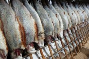 女人夢(mèng)到白色的魚(yú)，寓意與解讀，女人夢(mèng)到白色魚(yú)的寓意與解讀