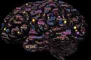 三國類免費游戲的探索與啟示，三國志系列，策略、戰(zhàn)爭與歷史深度解密