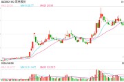 機(jī)器人概念連續(xù)反彈，科創(chuàng)50指數(shù)半日漲0.45%