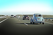 賽車(chē)之夢(mèng)，速度與激情的交織，賽車(chē)之夢(mèng)，速度與激情的交織