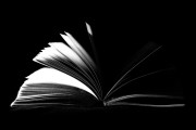 探討PS人像插件網(wǎng)站，提升攝影創(chuàng)作能力的新工具，從新手到專業(yè)，探索PS人像插件網(wǎng)站提升攝影創(chuàng)作能力的新工具