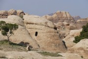 夢(mèng)中的沼澤，探索未知的心靈之旅，夢(mèng)中的沼澤，心靈之旅的未知探索