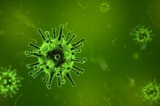 澳大利亞出現(xiàn)新冠新變種 FluQE：傳染性更高，幾周內(nèi)病例或激增