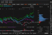 路通視信資金占用形成的關(guān)聯(lián)交易，投資者可索賠！
